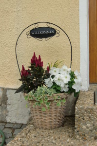 Blumen vor unserer Eingangstür